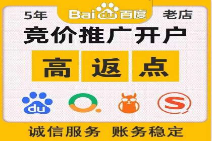 成功SEM托管案例解析